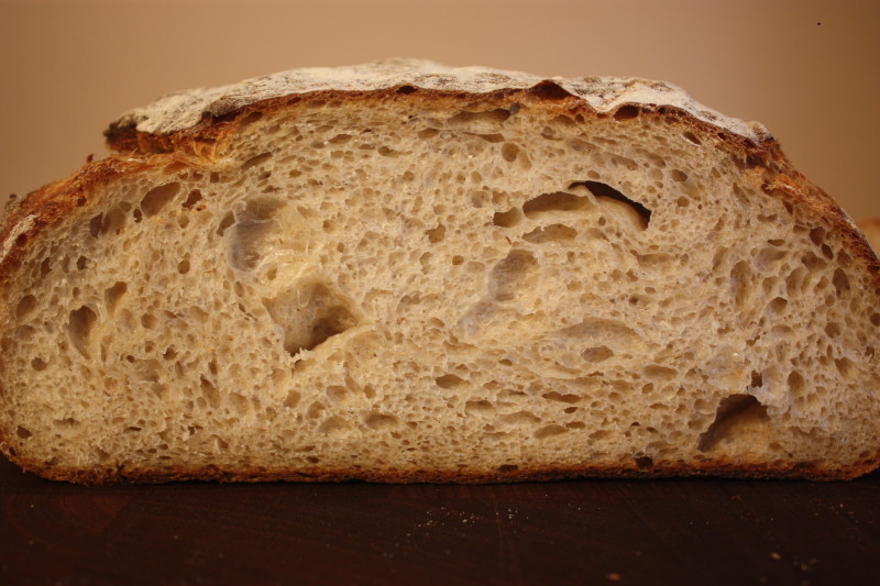 Modified Tartine Country loaf crumb