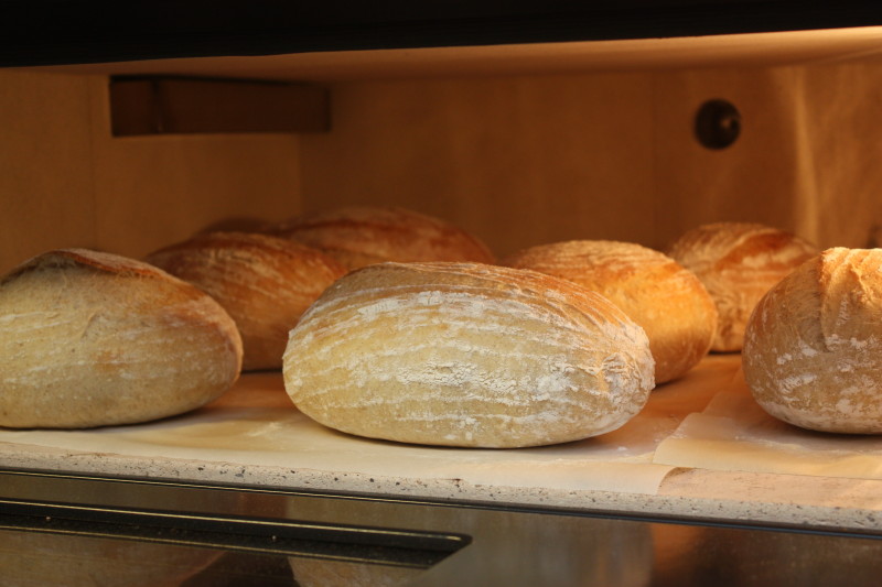 bread in a haussler oven